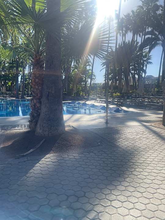 Pool Hotel Riu Palace Oasis