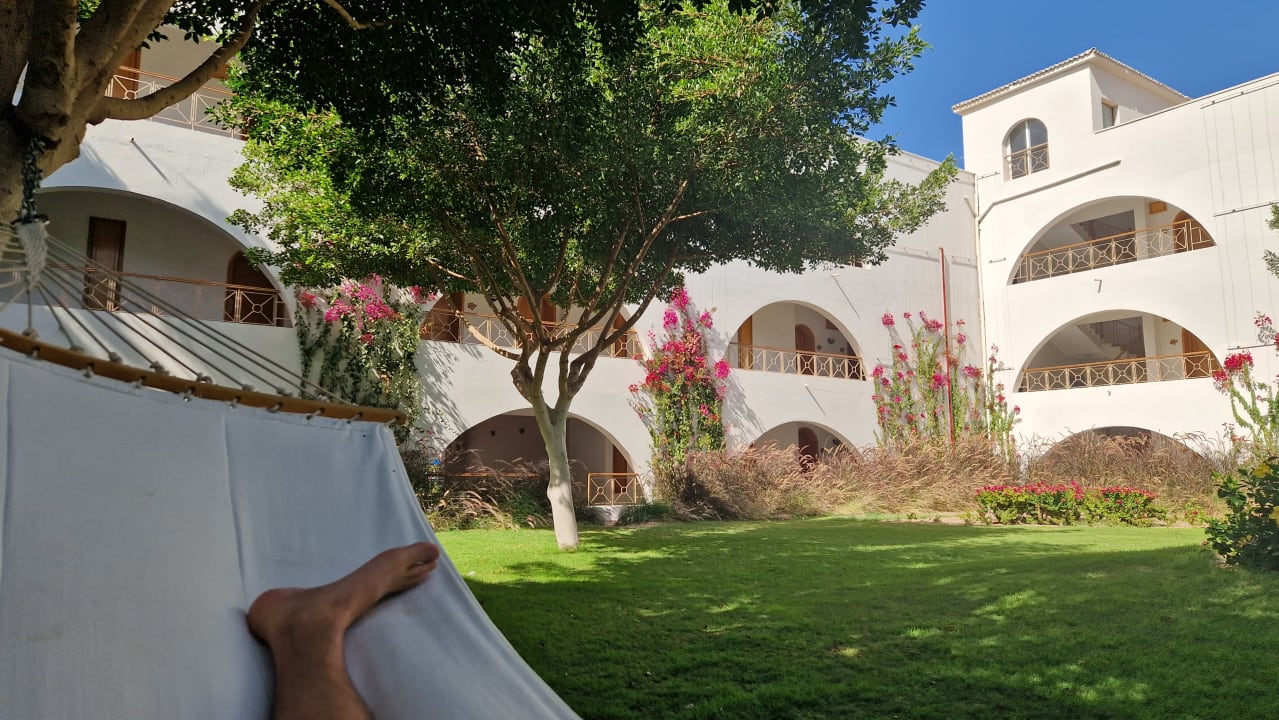 Außenansicht Desert Rose