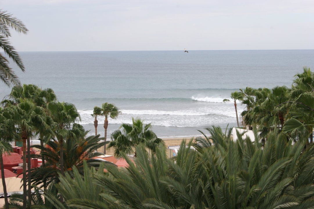 Meeresblick Hotel Riu Palace Oasis