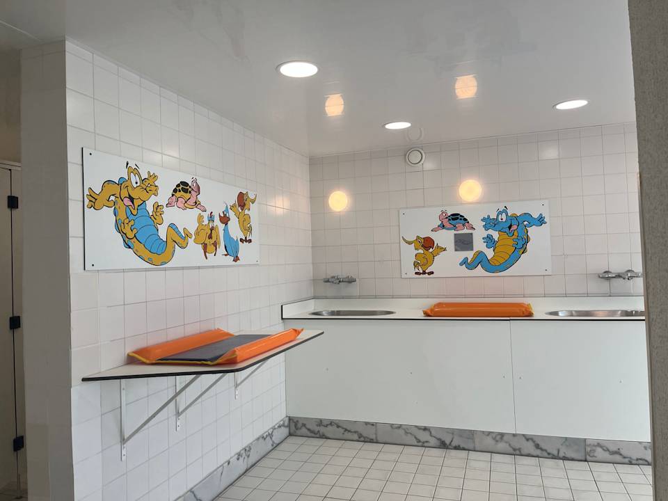 Pool Roompot Camping De Zandput