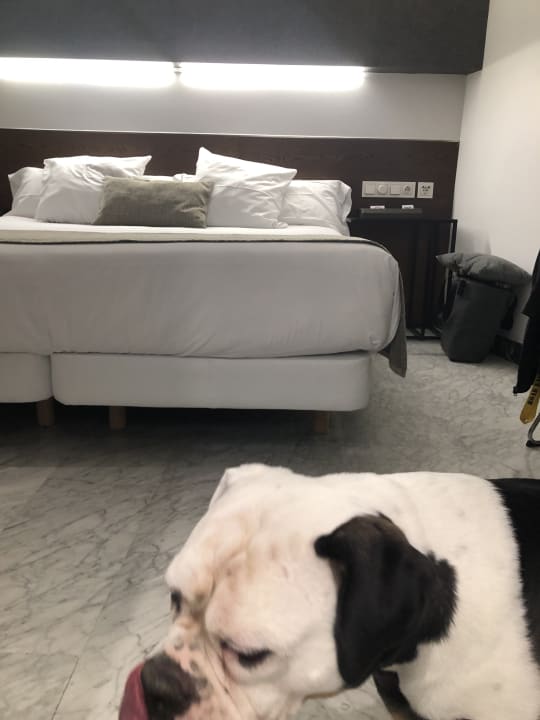 Zimmer Hotel Avenida
