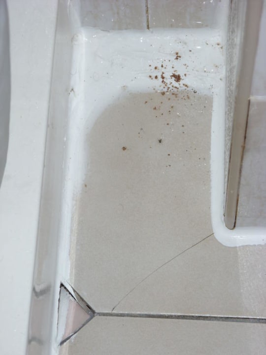 Schimmel Hotel Berjaya Eden Park