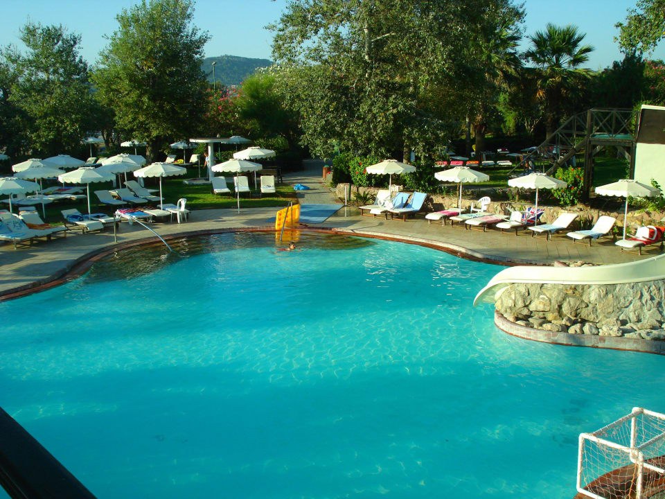 Pool  Hotel Calypso Beach