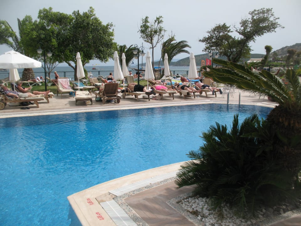 Basen Royal Asarlik Beach Hotel