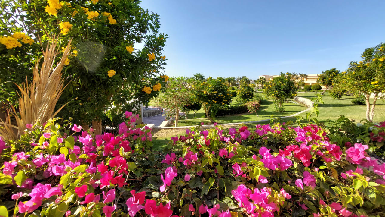 Gartenanlage Cleopatra Luxury Resort Makadi Bay