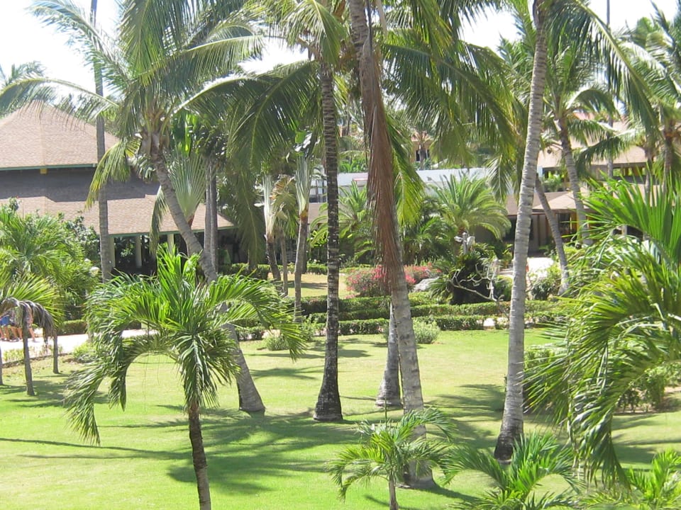 Garten Vik Hotel Arena Blanca & Cayena Beach