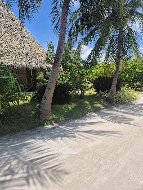 Ausblick Kuredu Island Resort & Spa