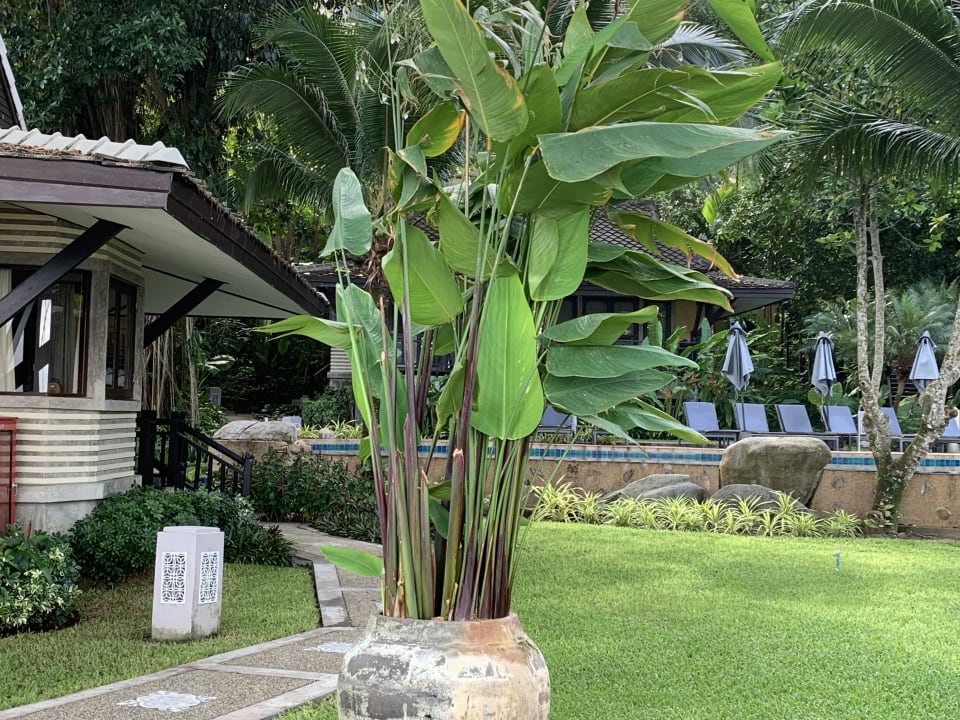 Gartenanlage Moracea by Khao Lak Resort