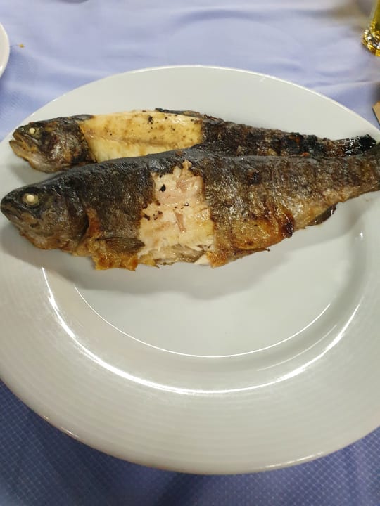 Gastro Alaiye Resort & Spa