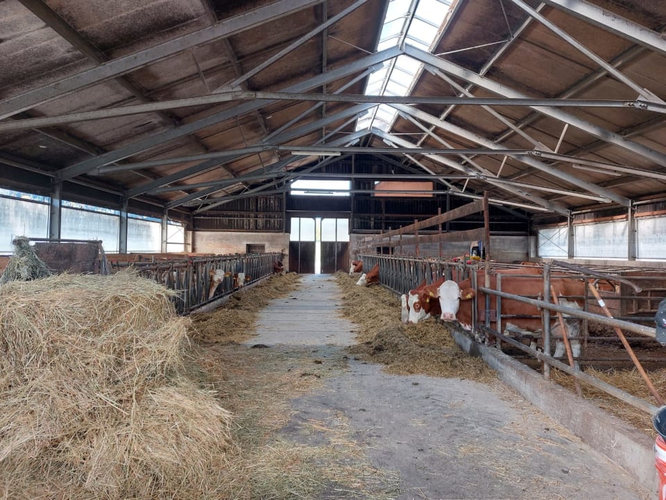 Sonstiges Erlebnisbauernhof Urak