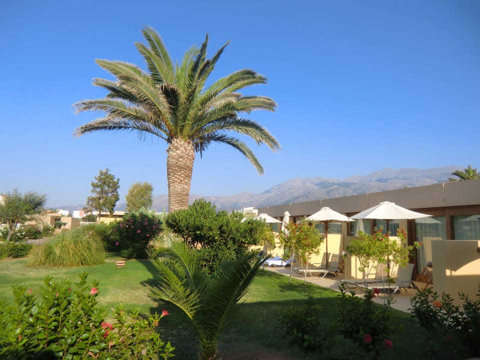 Blick auf die Bungalows. Wir hatten einen am Eck Kernos Beach Hotel & Bungalows
