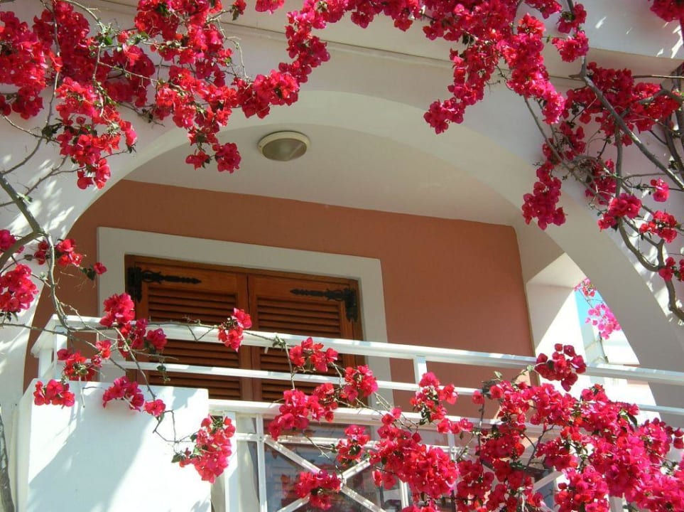 Ein Hotelzimmer von vielen Hotel Bitzaro Grande