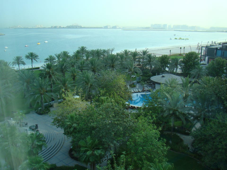 Alter Palmenbestand, hat nur das Jumeirah Sheraton Jumeirah Beach Resort