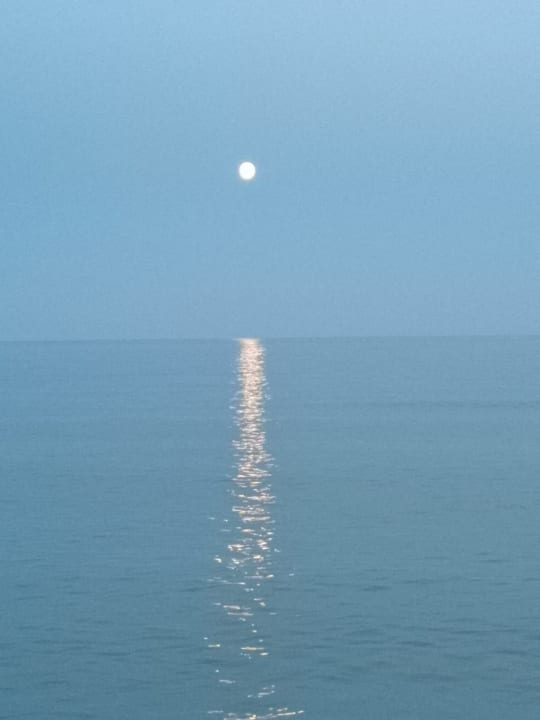 Ausblick Haydarpasha Palace