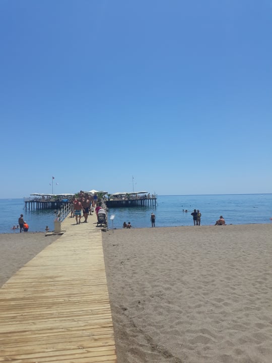 Strand Royal Seginus