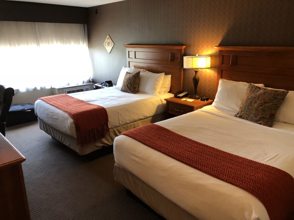 Zimmer Academy Hotel