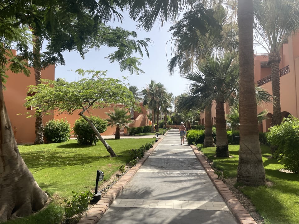 Gartenanlage Jaz Makadi Oasis Resort