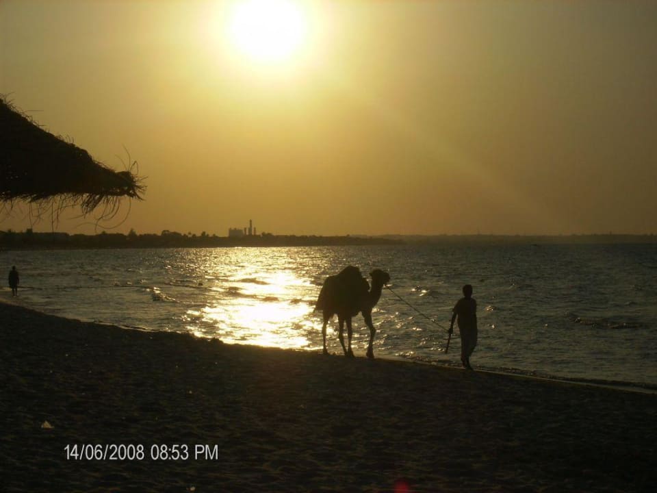 Zachód Ruspina Beach Resort