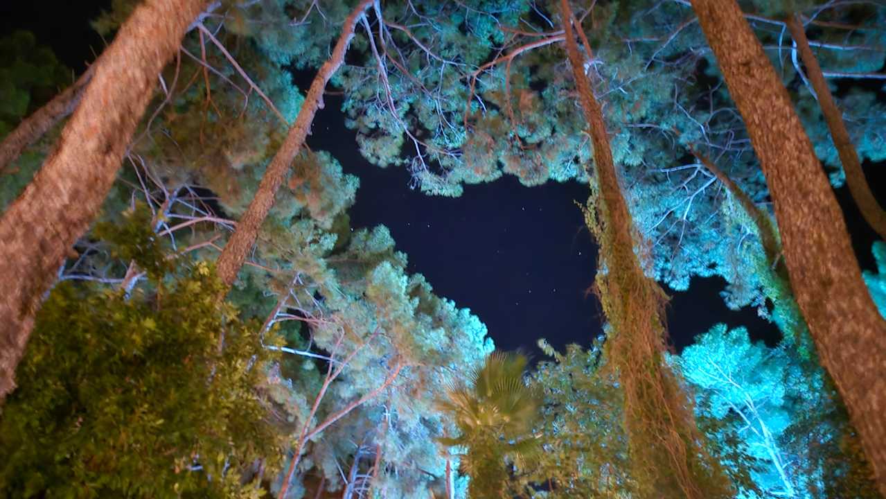 Gartenanlage Marmaris Bay Resort