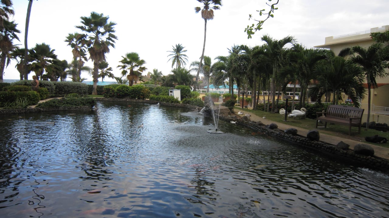 Caribe Hilton Hotel Caribe Hilton