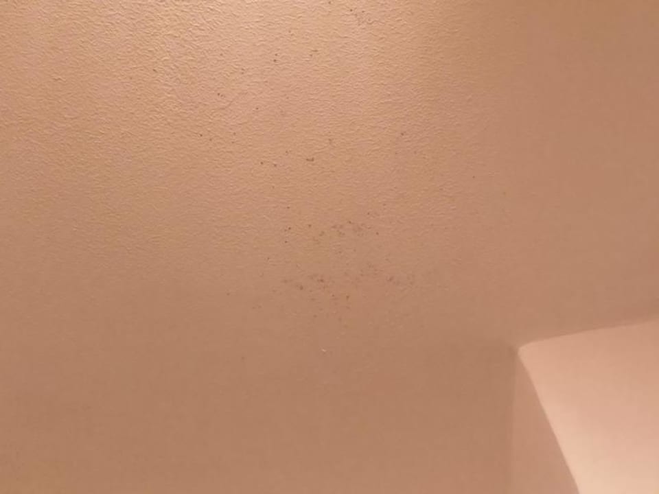 Schimmel Decke Bad Hotel Kiss Family