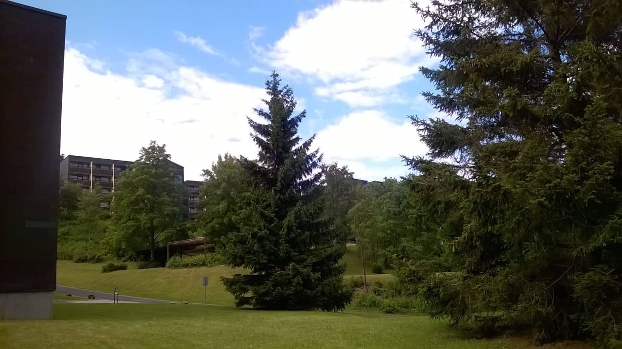 Von allen Zimmern Blick in pure Natur Rhön Park Aktiv Resort
