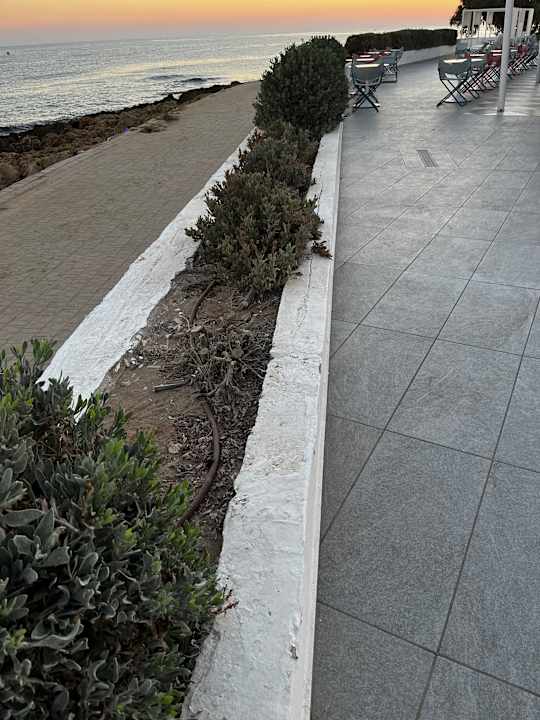 Gartenanlage I Resort Beach Hotel & Spa