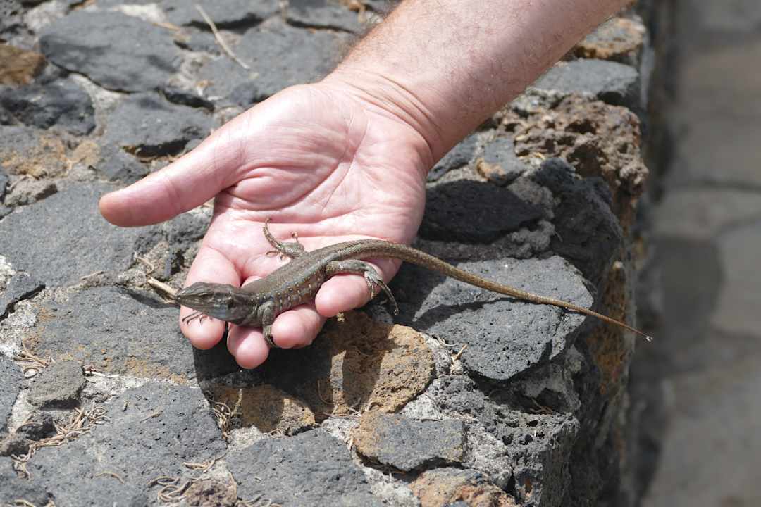 Sonstiges Finca Monte Rey