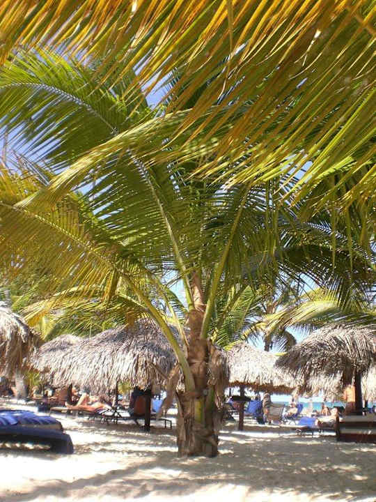 Royal Suites-Bereich Grand Palladium Select Bávaro Resort & Spa