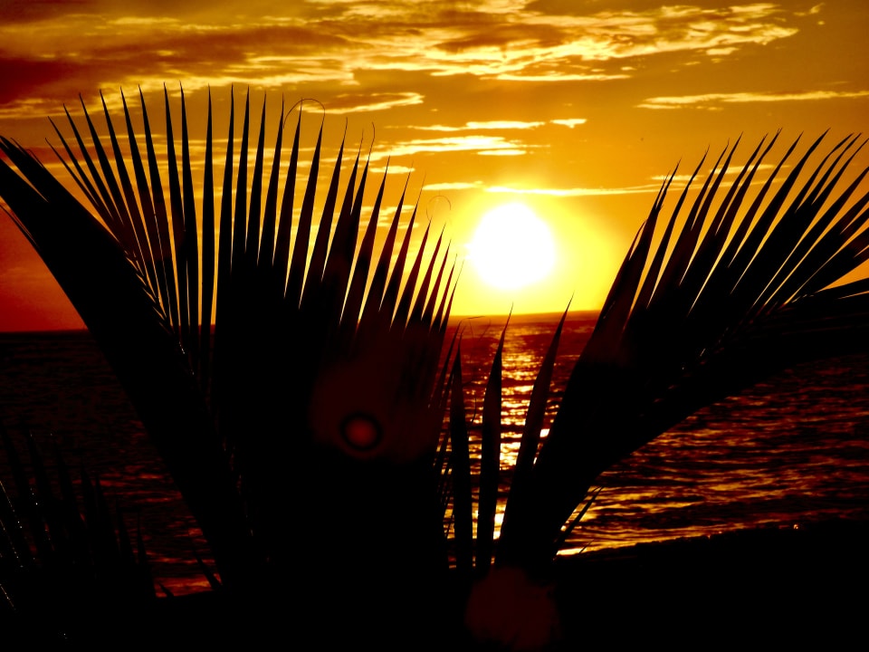 Ausblick Iberostar Selection Bavaro Suites