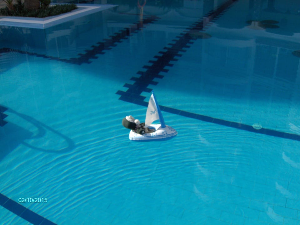 Mull on a mammoth voyage. Royal Star Beach Resort