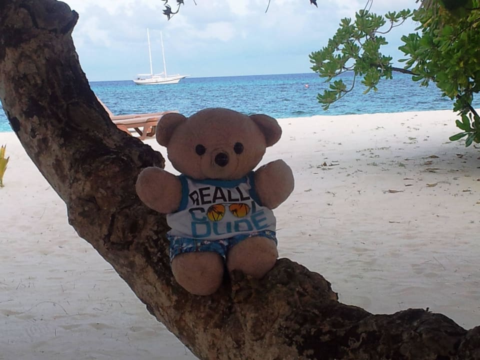 Immer dabei Kuredu Island Resort & Spa