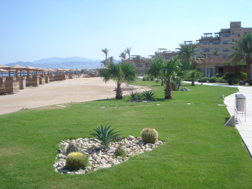 Rasen, weich wie Teppich Shams Prestige Abu Soma-Adults Only