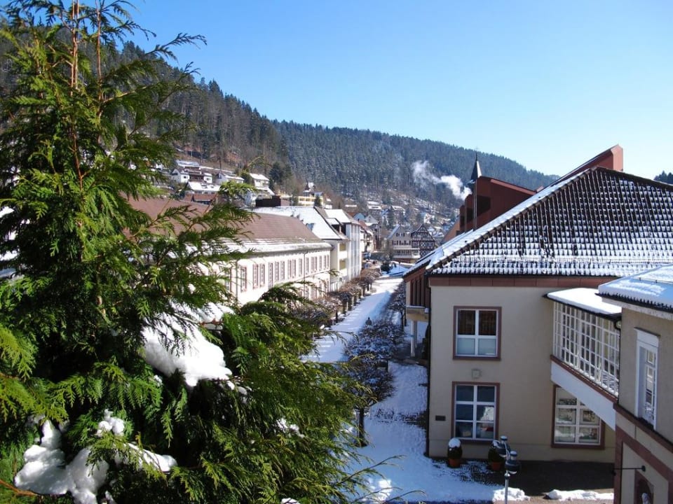 Blick aus unserem Hotelzimmer Hotel Therme Bad Teinach