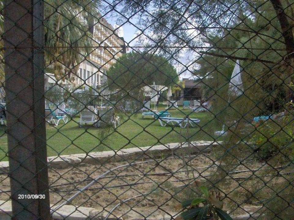 Ansicht vom Strand zum Hotelliegebereich Hotel Ephesia