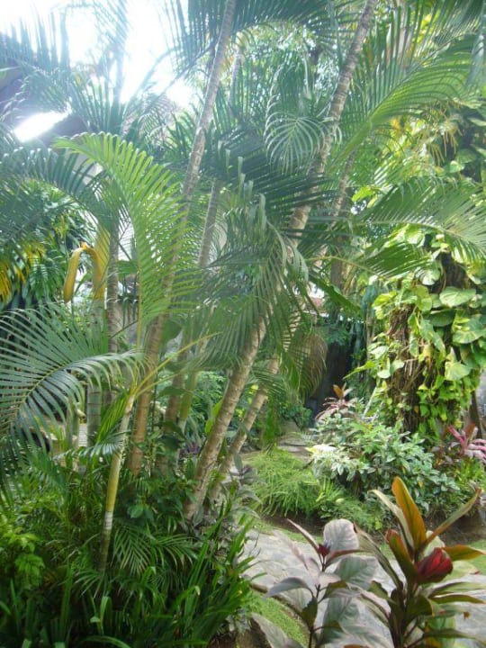 Blick von den Standard - Bungalows auf den Garten Maharta Beach Resort