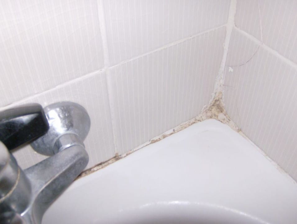 Dusche FLOR los Almendros Apartamentos