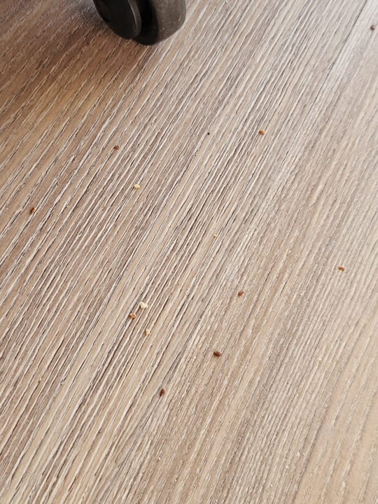 Zimmer Well Palace Side