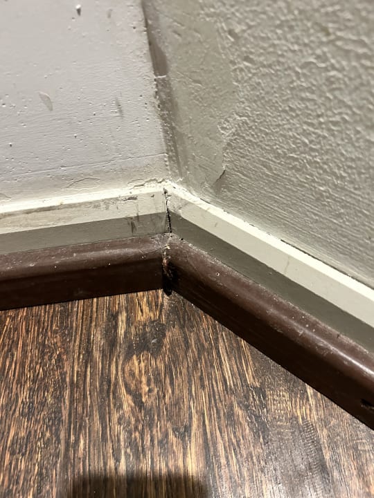 Zimmer Kihaa Maldives