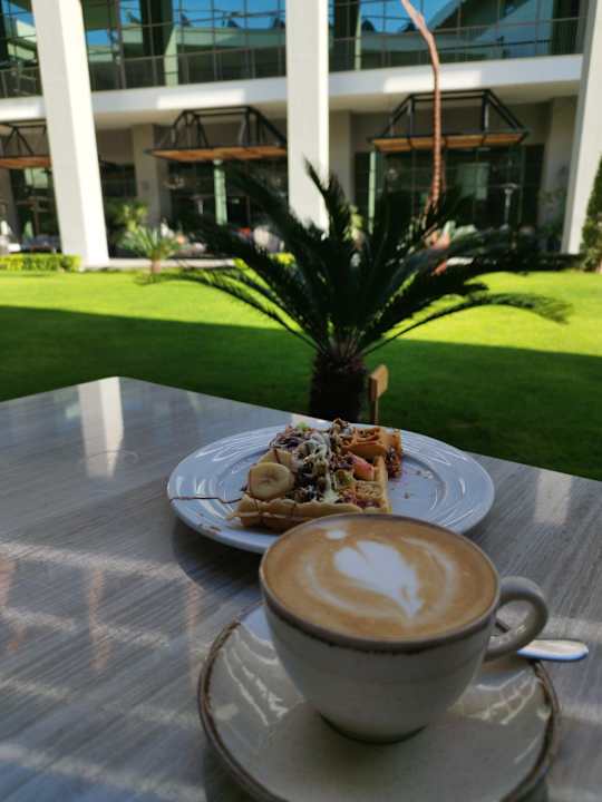 Gastro Acanthus Cennet Barut Collection