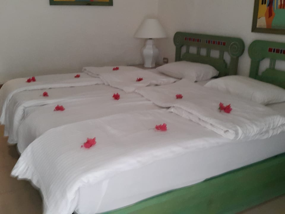 Zimmer Giftun Azur Resort