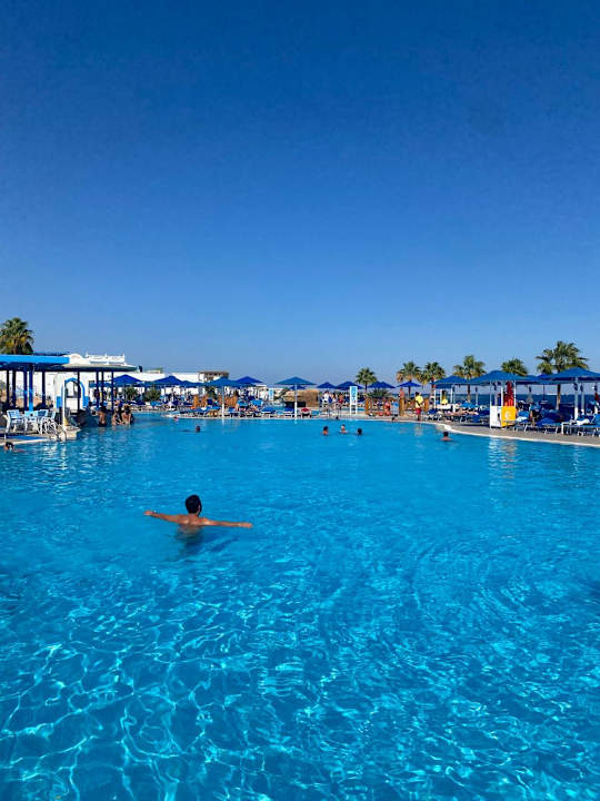 Pool Pickalbatros Palace Resort