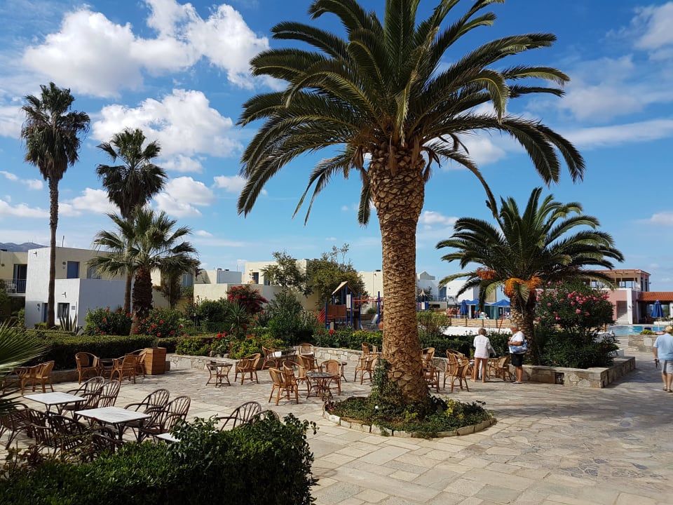 Sitzgelegenheit in der Gartenanlage Dessole Dolphin Bay Resort