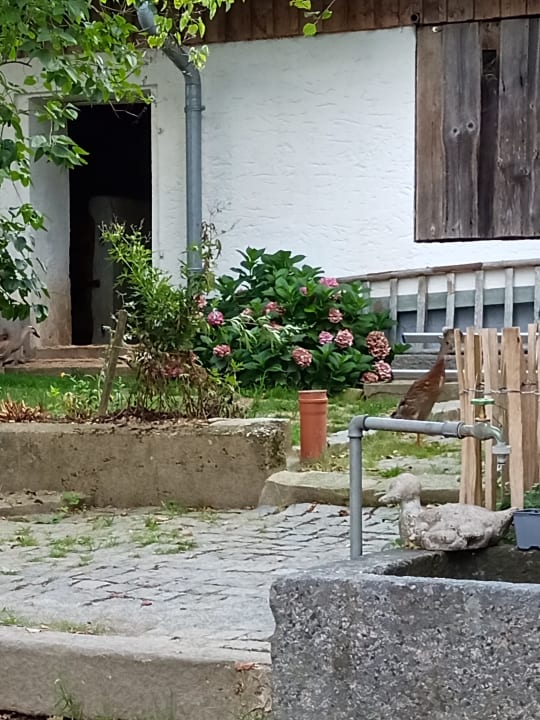 Gartenanlage Pension - Pferdehof - Haug