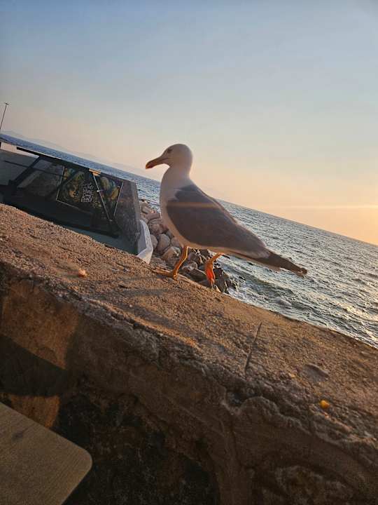 Sonstiges Le Bleu Hotel & Resort