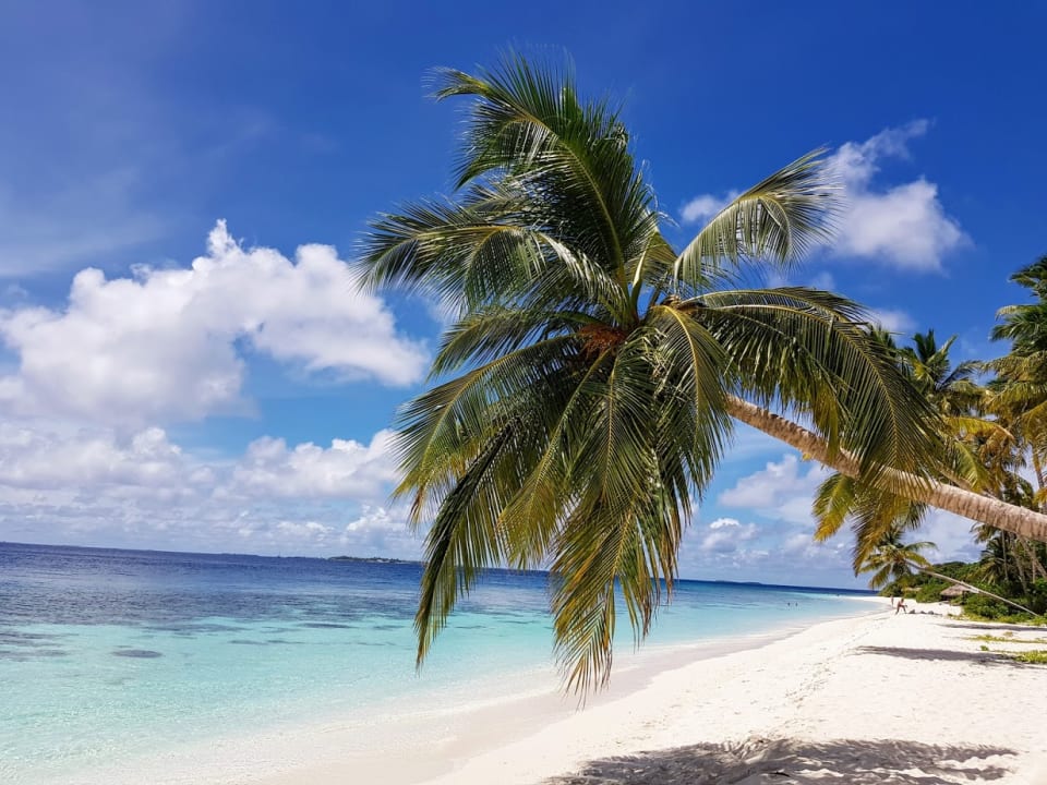 Strand Reethi Faru Resort