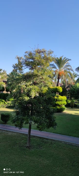 Ausblick TUI KIDS CLUB Felicia Village