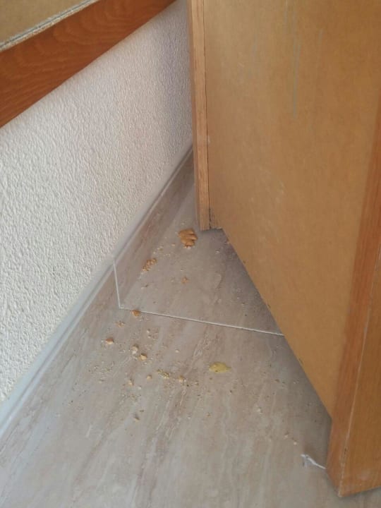 Keks vom Vor-Gast Hotel Exagon Park