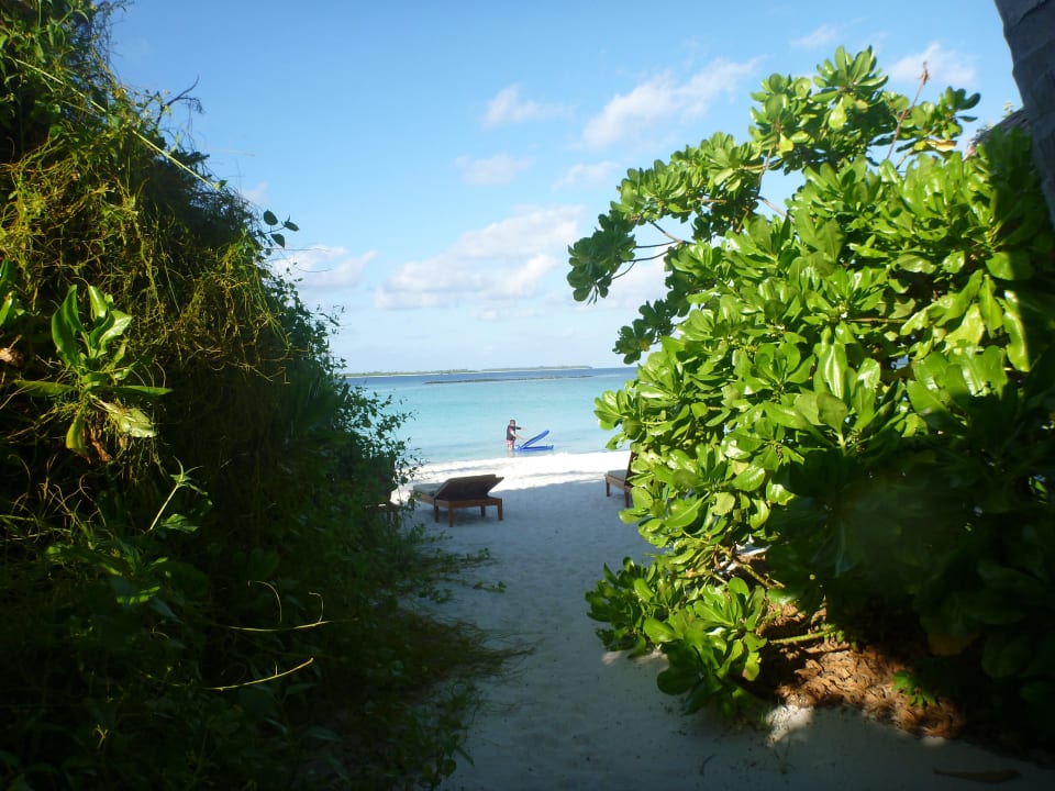 20m am Strand Sun Siyam Iru Fushi