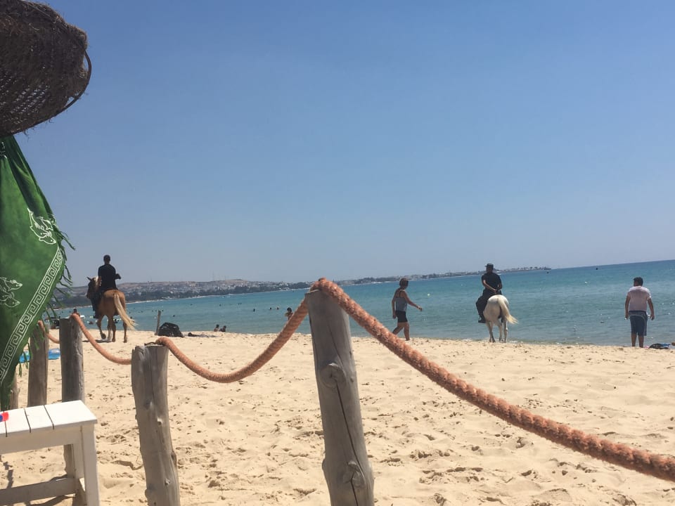 Strand Samira Club